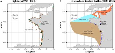 Ecological Trap or Favorable Habitat? First Evidence That Immature Sea Turtles May Survive at Their Range-Limits in the North-East Atlantic